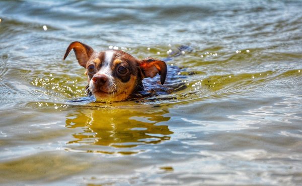 Quelles méthodes pour débuter dans la création de vidéos de voyage?